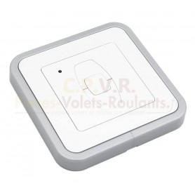 Télécommande murale 1 canal Eckermann