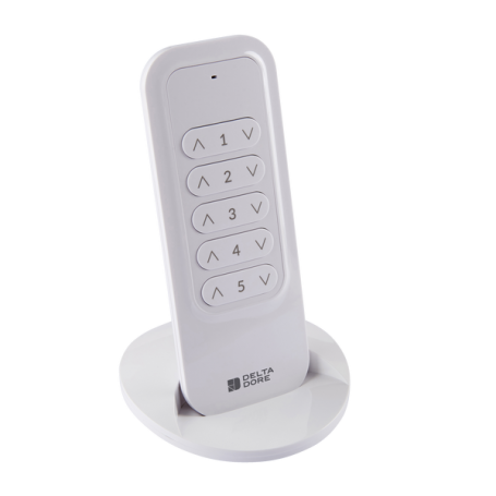 Télécommande radio DELTA DORE 5 voies TYXIA 1700