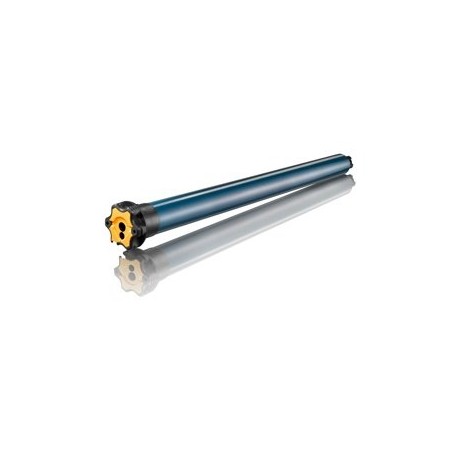 Moteur SOMFY Ilmo® 50 WT 10/17 VVF 3m TH