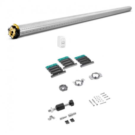 Kit motorisation SOMFY LT 50 WT 10/17